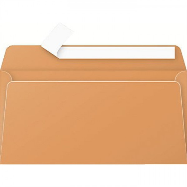 STAPLES® Briefumschlag, bedruckbar, ohne Fenster, haftklebend, DL, clementine (20 Stück)